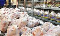 اطلاعیه جهاد کشاورزی شهرستان فیروزکوه در مورد توزیع مرغ منجمد