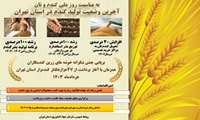 آخرین وضعیت تولید گندم در استان تهران در یک نگاه